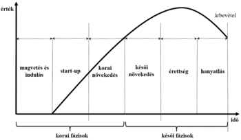 Üzleti életciklus görbe, amely bemutatja a vállalkozás fázisait: magvetés, start-up, növekedés, érettség, hanyatlás.