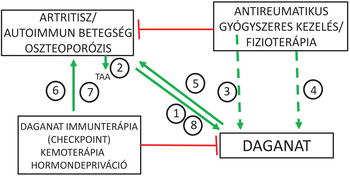 Diagram, amely artritisz, autoimmun betegség, oszteoporózis, daganat immunterápia, kemoterápia, hormondepriváció, antireumatikus kezelés és fizioterápia közötti kapcsolatokat mutatja.