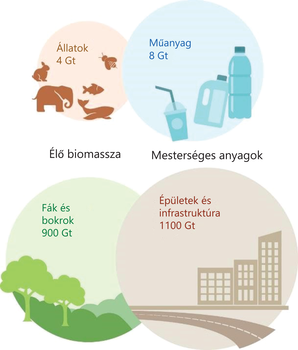 Diagram a Föld élő biomassza és mesterséges anyagok mennyiségéről, állatok, műanyag, fák, bokrok, épületek és infrastruktúra.
