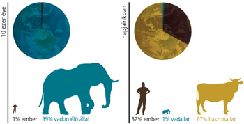 Kördiagramok és sziluettek mutatják az emberi és állati biomassza arányát 10 ezer évvel ezelőtt és napjainkban.