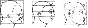 Három emberi fej profil rajza, geometriai vonalakkal felosztva.
