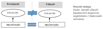 Diagram a forrásnyelv és célnyelv fogalmi és megnevezési különbségeiről, honosító stratégia bemutatásával.