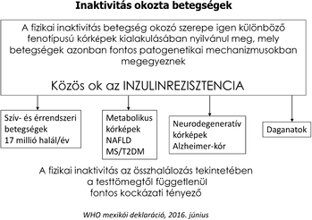 Diagram az inaktivitás okozta betegségekről, közös ok az inzulinrezisztencia.