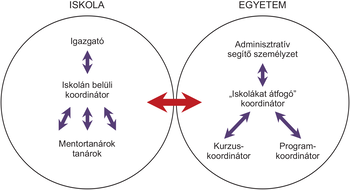 Diagram az iskola és egyetem közötti koordinációs struktúráról, szereplőkkel és kapcsolatokkal.