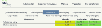 Pénzügyi elemzés táblázat az eladósodás és tulajdonosi arány mutatóival, változásokkal és adatokkal.