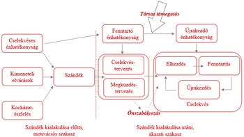 Folyamatábra a szándék kialakulásának és megvalósításának szakaszairól, motivációs és akarati szakaszokkal.