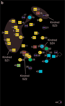 Színes geometriai alakzatok különböző csoportokban, Kindred SZ1, SZ2, SZ3 és SZ4 feliratokkal.