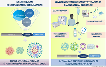 Szintetikusan kombinálható molekulatárak és terápiás eljárások Szintetikusan kombinálható molekulatárak és jövőbeni személyre szabott terápiás és diagnosztikai eljárások, mint célzott terápia, immunodiagnózis, diagnosztikus képalkotás és szintetikus vakcinák.